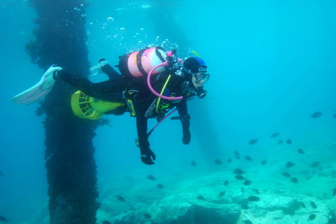 Shellharbour Scuba  And Photography Centre - Mackay Tourism 0