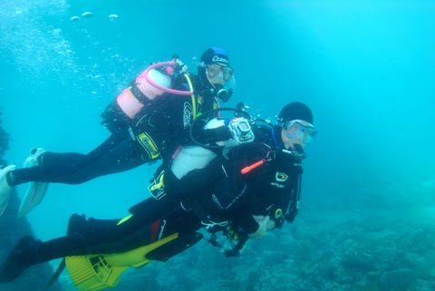 Shellharbour Scuba  And Photography Centre - Mackay Tourism 1
