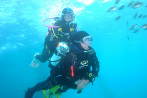 Shellharbour Scuba  And Photography Centre - Mackay Tourism 2