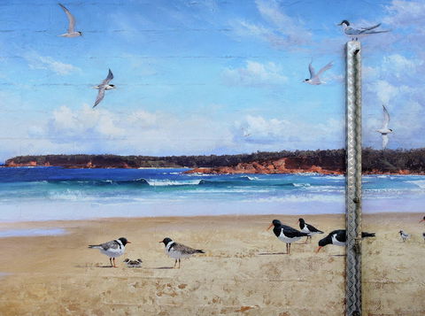 Shoalhaven Toilet Mural Tour - Mackay Tourism 2