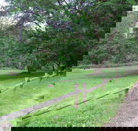 St Albans Reserve - Mackay Tourism