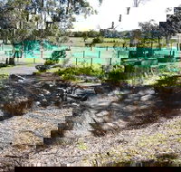 Tactical Paintball Games - Mackay Tourism