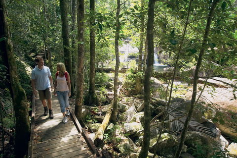 The Pioneer Valley And Eungella National Park - Mackay Tourism 1