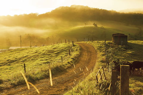 The Pioneer Valley And Eungella National Park - Mackay Tourism 2