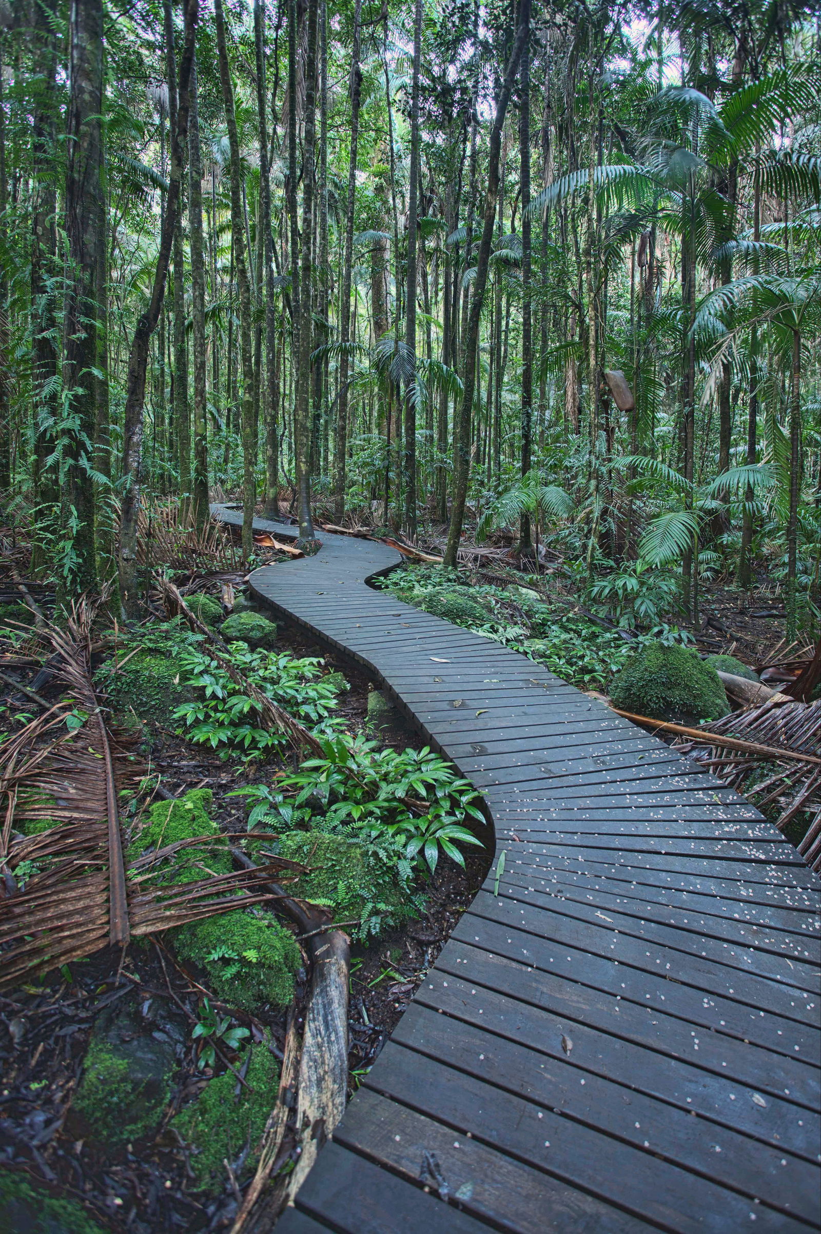 Woodlawn NSW Mackay Tourism