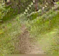 Three Views walking track - Mackay Tourism