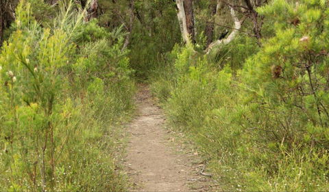 Three Views Walking Track - Mackay Tourism 0