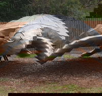 Underwater Marine Sculptures - Mackay Tourism