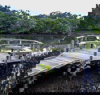 Walk on Water walking track - Mackay Tourism