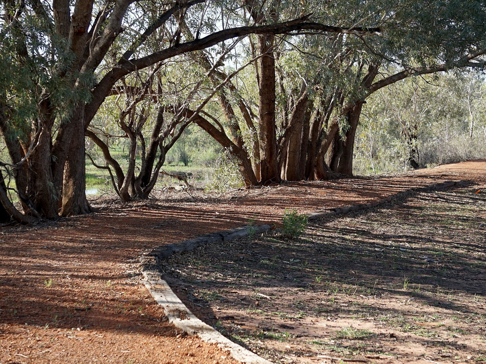 Louth NSW Mackay Tourism
