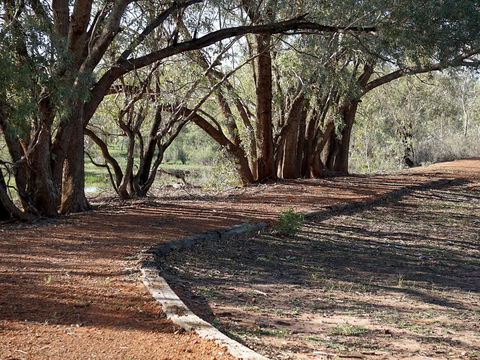Warrego Floodplain Walking Track - Mackay Tourism 0