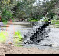Warrandyte River Reserve - Mackay Tourism