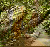 William Ricketts Sanctuary - Mackay Tourism