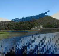Yalwal - Mackay Tourism