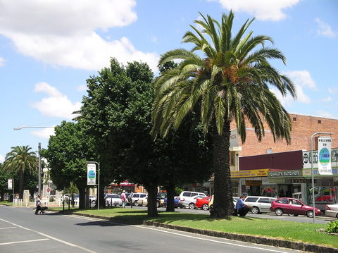 Yarram Historical Society - Mackay Tourism 0