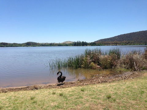 Yarralumla Bay - Mackay Tourism 0