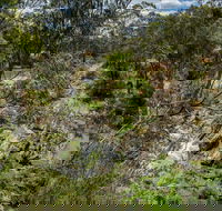 Yarrambat Park - Mackay Tourism