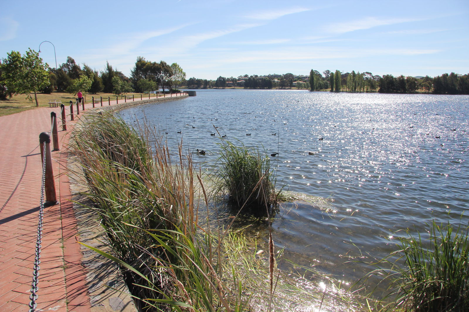 Amaroo ACT Mackay Tourism