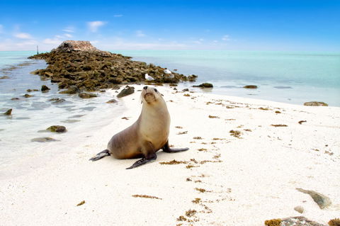 Abrolhos Islands - Mackay Tourism 0