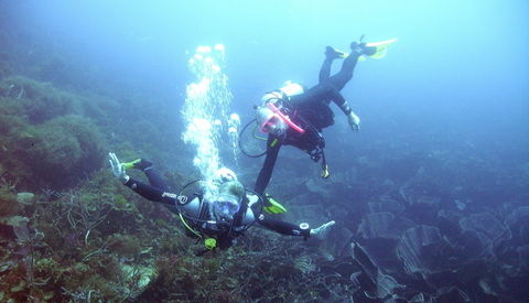 Abrolhos Islands - Mackay Tourism 2