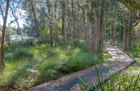 Anabranch Loop Track - Mackay Tourism 0