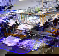Australian Institute of Marine Science - Mackay Tourism