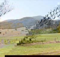 Banimboola Creek Rest Area - Mackay Tourism