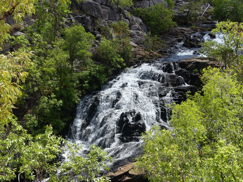 Biddlecombe Cascades - Mackay Tourism 1