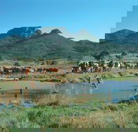 Biggenden - Mackay Tourism