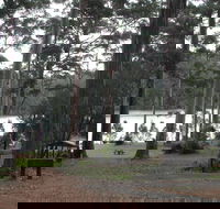 Big Brook Arboretum - Mackay Tourism