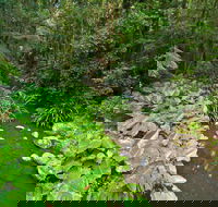 Brindle Creek Picnic Area - Mackay Tourism