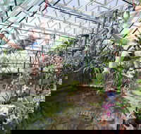 Cairns ZOOM and Wildlife Dome - Mackay Tourism