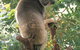 Caversham Wildlife Park - thumb 0