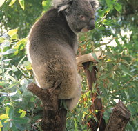 Caversham Wildlife Park - Mackay Tourism