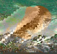 Caversham - Mackay Tourism