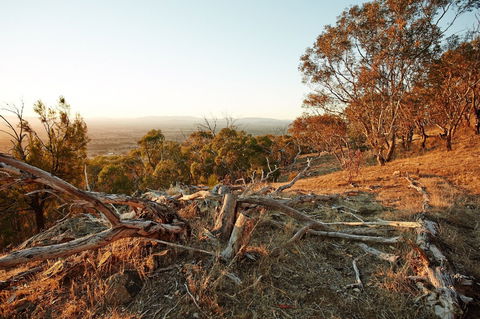 Chick Hill Walk - Mackay Tourism 0