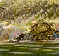 Creswick Regional Park - Mackay Tourism