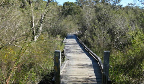 Falcon Crescent Link Track - Mackay Tourism 0