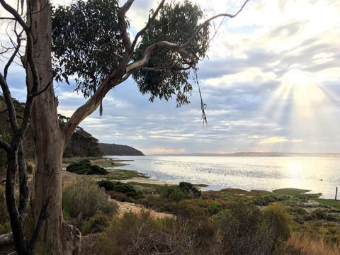 Fish Cannery Walking Trail - Mackay Tourism 0