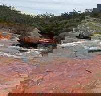 FR Berry Reserve - Mackay Tourism