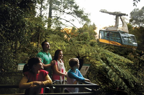 Furber Steps - Mackay Tourism 0