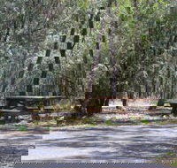 Goonoowigall State Conservation Area - Mackay Tourism