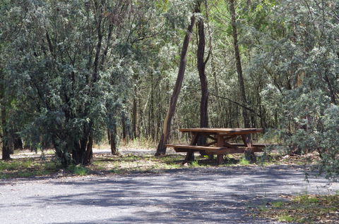 Goonoowigall State Conservation Area - Mackay Tourism 0