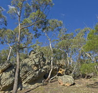 Green track - Mackay Tourism