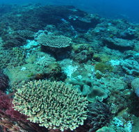Hanging Rock Dive Site - Mackay Tourism