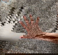 Hands of Fame Park - Mackay Tourism