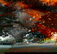 Jubilee Park Mackay
