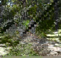 Karloo Walking Track - Mackay Tourism