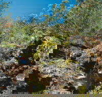 Kroombit Tops National Park - Mackay Tourism