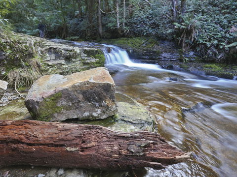 Liffey Falls Reserve - Mackay Tourism 0